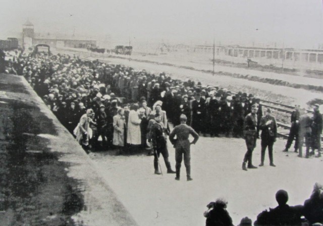 Auschwitz: The Nazis And The 'final Solution' Fotoğrafları 18