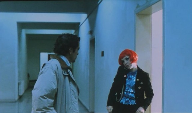 A Dog's Dream Fotoğrafı