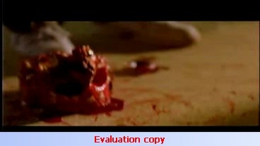 Cehennem Otoyolu Fotoğrafı