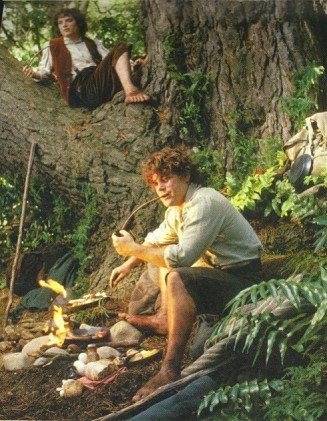 Yüzüklerin Efendisi: Yüzük Kardeşliği Fotoğrafı