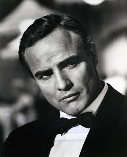 Hong Kong'lu Kontes Fotoğrafı