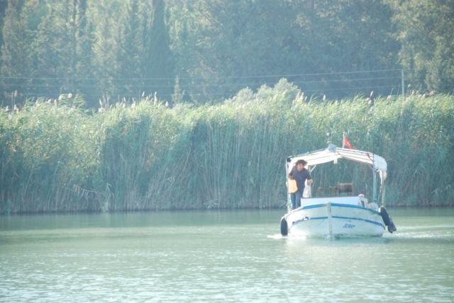 Denizden Gelen Fotoğrafları 36