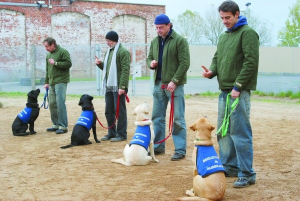 Underdogs Fotoğrafları 1