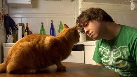 Sorry, Thanks fotoğrafı Sorry, Thanks fotoğrafı