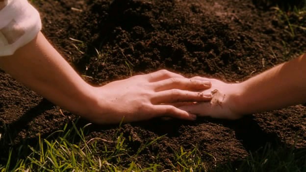 İlk Aşk Fotoğrafı