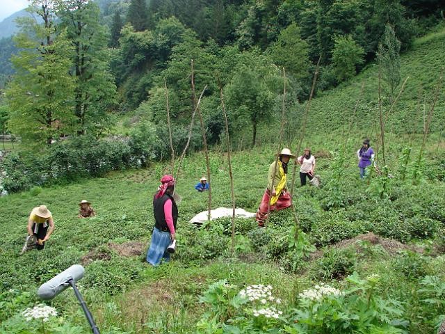 Off Karadeniz Fotoğrafları 16