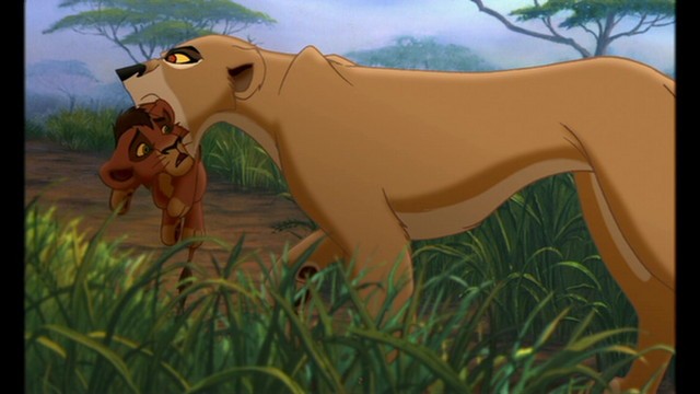 Aslan Kral 2: Simbanın Onuru Fotoğrafı