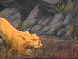 Aslan Kral 2: Simbanın Onuru Fotoğrafı