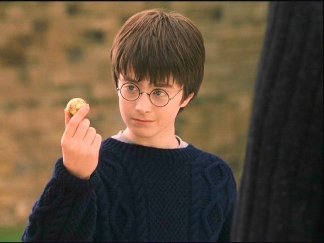 Harry Potter ve Felsefe Taşı Fotoğrafı