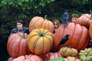 Harry Potter ve Azkaban Tutsağı Fotoğrafı