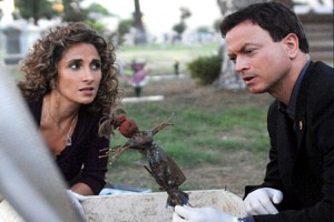 CSI: NY Fotoğrafı
