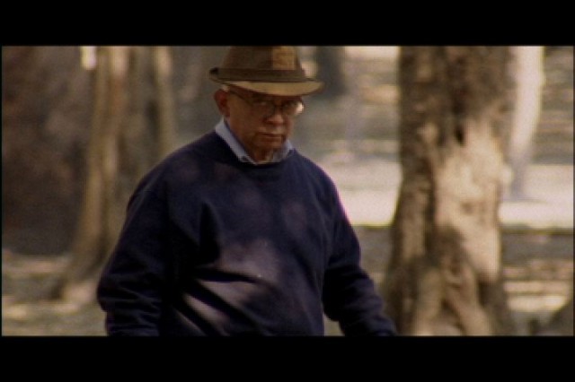 Yo Quiero Pintar Esta Luz Fotoğrafı