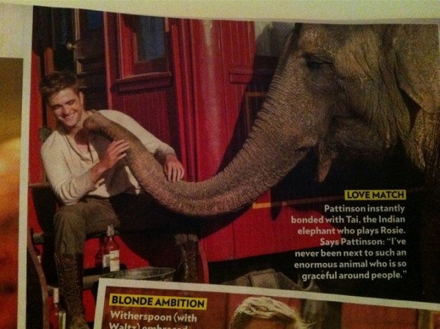 Aşkın Büyüsü Fotoğrafı