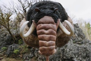 RRRrrrr!!! fotoğrafı RRRrrrr!!! fotoğrafı