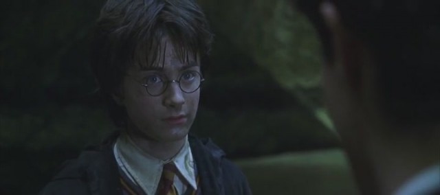 Harry Potter ve Sırlar Odası Fotoğrafları 70