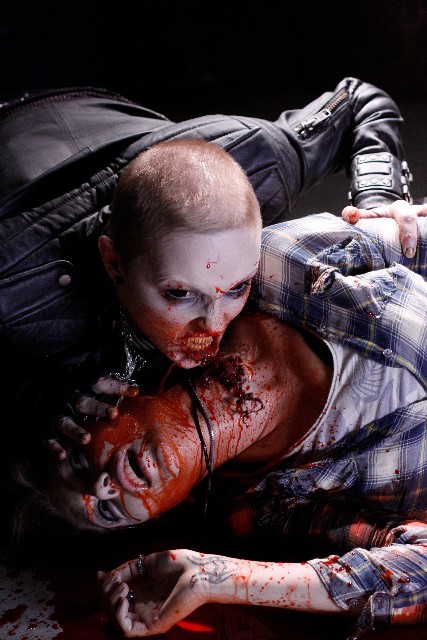 30 Gün Gece 2 Fotoğrafı