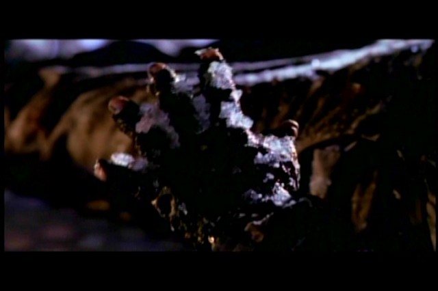 Jason X Fotoğrafı