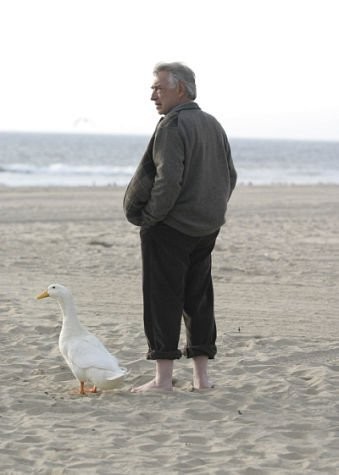 Duck Fotoğrafı
