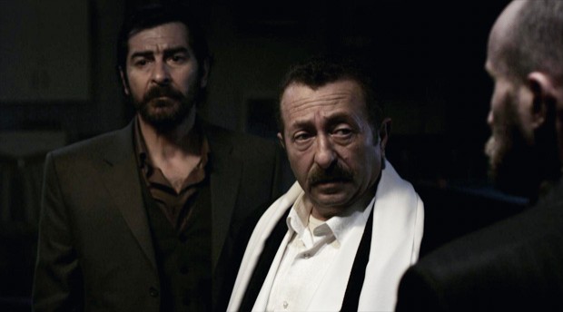 Çakal Fotoğrafı