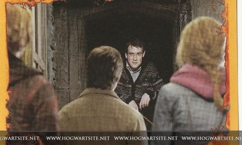 Harry Potter ve Ölüm Yadigarları: Bölüm 2 Fotoğrafları 305