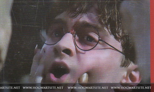Harry Potter ve Ölüm Yadigarları: Bölüm 2 Fotoğrafları 313