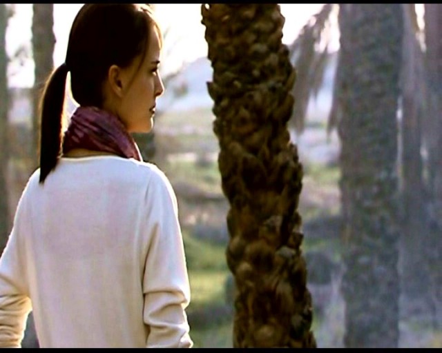 Serbest Bölge Fotoğrafı