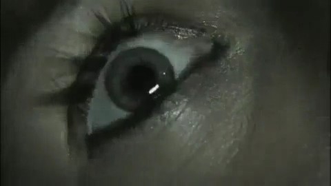 Vahşi Av Fotoğrafı