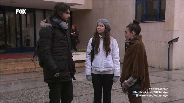 Deniz Yıldızı Fotoğrafı