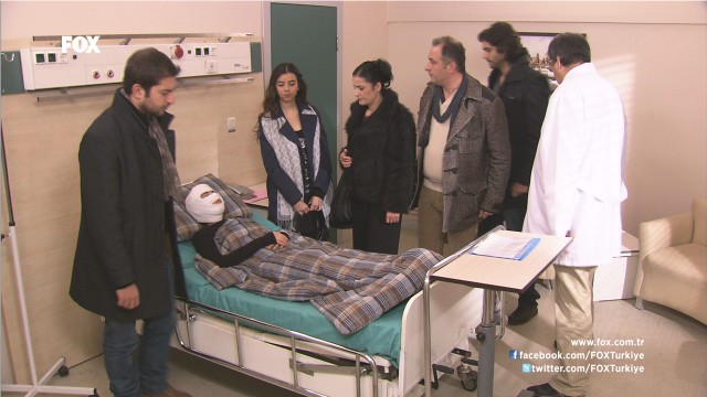 Deniz Yıldızı Fotoğrafı