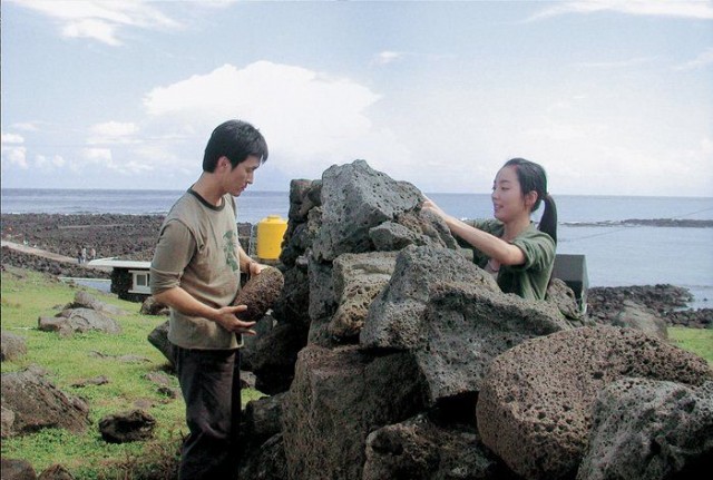 Feathers In The Wind Fotoğrafı