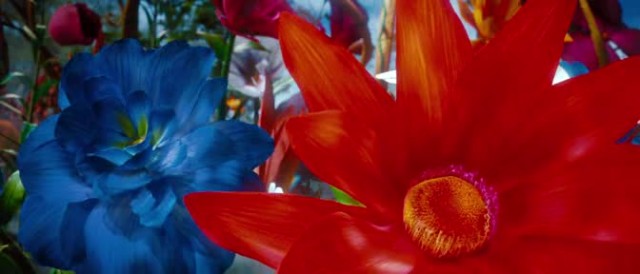 Muhteşem ve Kudretli Oz Fotoğrafı