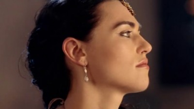 Merlin Fotoğrafı