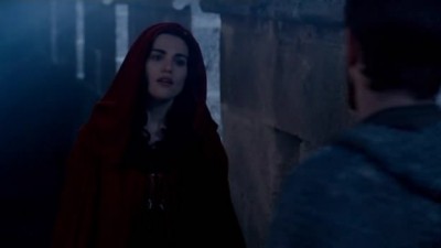 Merlin Fotoğrafı