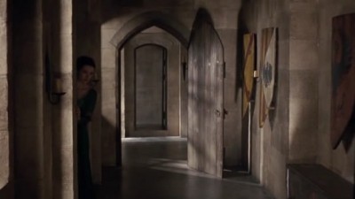 Merlin Fotoğrafı