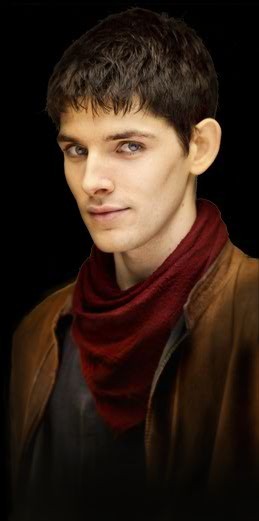 Merlin Fotoğrafı