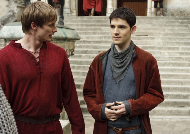 Merlin Fotoğrafı