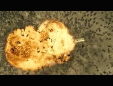 Ölümcül Deney 3: İnsanlığın Sonu Fotoğrafı