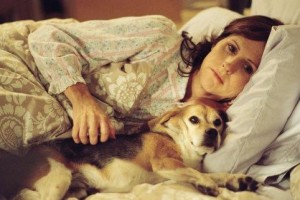 Köpeğini Kaybedenler Kulübü fotoğrafı