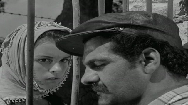 Susuz Yaz Fotoğrafı