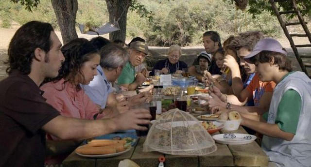 Çınar Ağacı Fotoğrafı