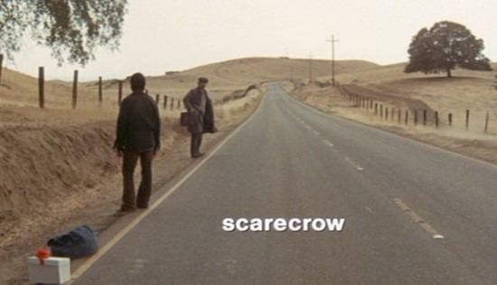 Scarecrow Fotoğrafları 10