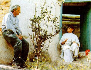 Zeytin Ağaçları Altında Fotoğrafı