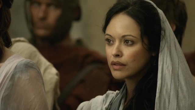 Spartacus: Gods Of The Arena Fotoğrafı