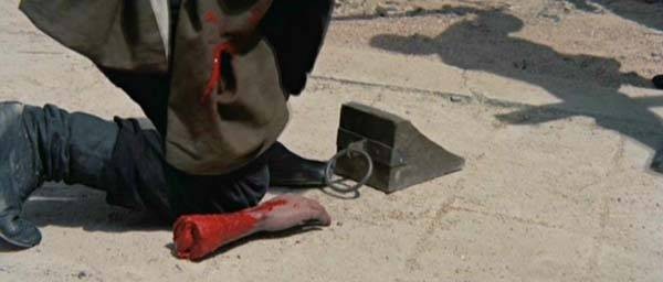 King Eagle Fotoğrafı